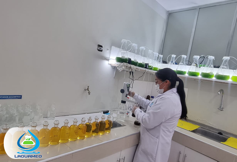 Estudios de impacto ambiental